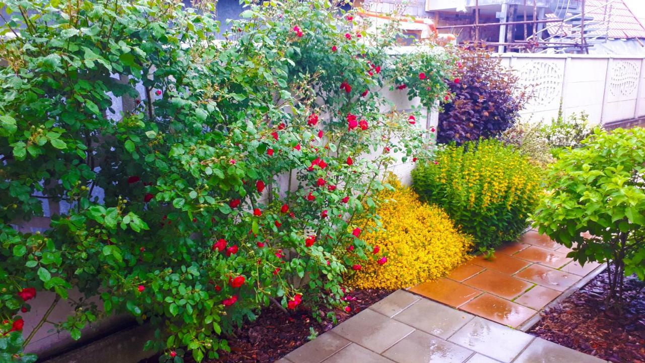 Privat Velvet Guest House Turcianske Teplice Bagian luar foto